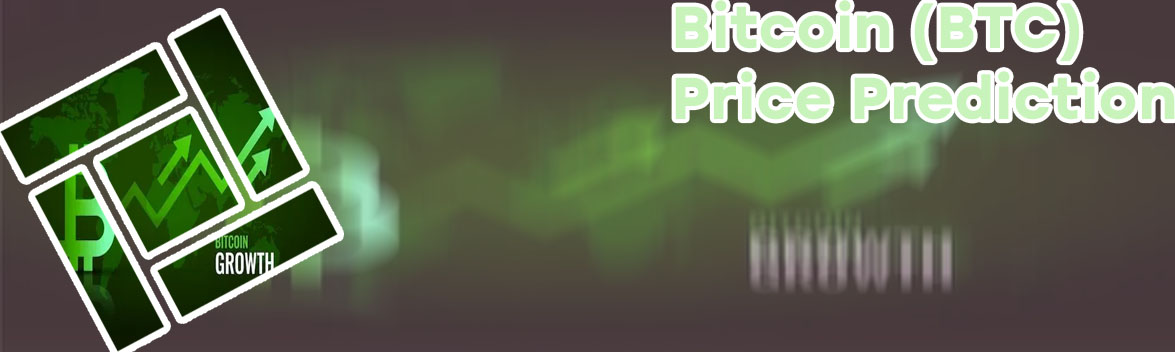 Bitcoin growth