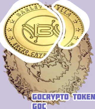 Crypto token